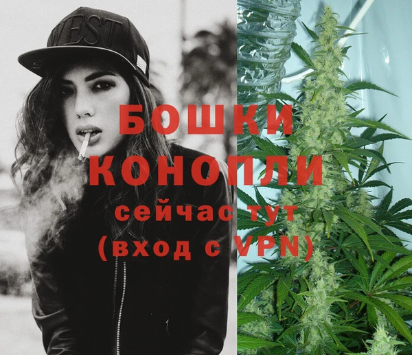 mdpv Новодвинск