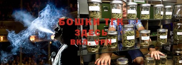spice Новозыбков
