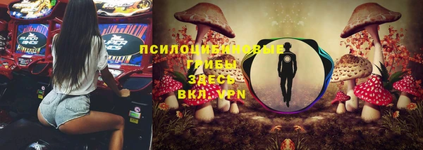 mdpv Новодвинск