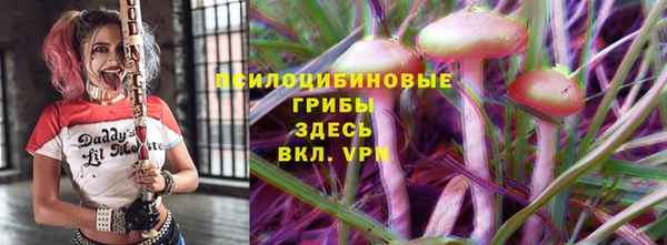 мдпв Няндома