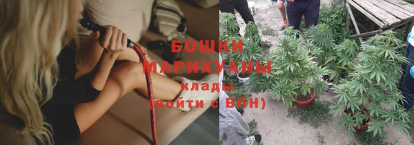 spice Новозыбков